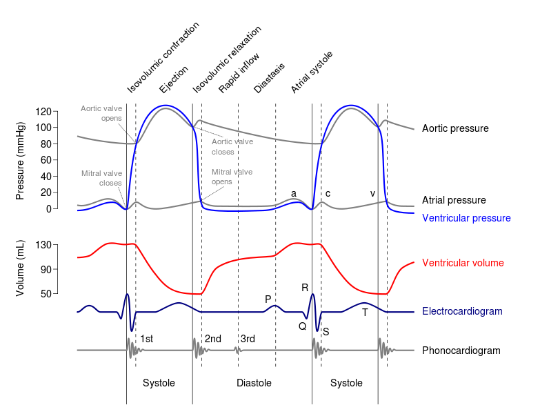 ECG+%25E5%25A3%2593%25E5%258A%259B%25E6%25B3%25A2+%25E5%25BF%2583%25E9%259F%25B3.png