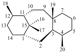 images?q=tbn:ANd9GcSbpCQp2WECRVr2LECk6gSk3qZEZvUmrn6bMg&s