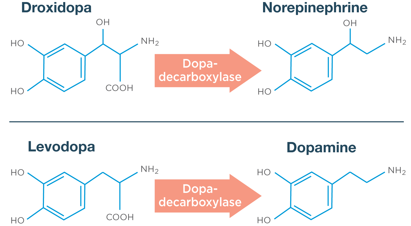 droxidopa-levodopa-chart-mobile.png