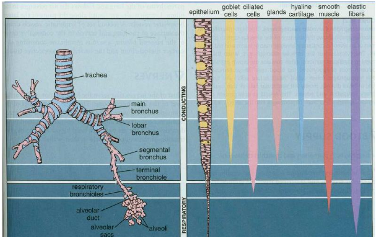 AD_4nXe_SLmxEWfDOQedueyd6DdjGF0T0o4hoET9OngiG-N9VcXoU8K0Nz5EbjESItWrbVv8j9Q5pEB4c037dI1Nu2ttKvVWpdQb8RWudYTsrHBRA435MaeGKjIvMYMfyRBKgcLAgXWUWiVyI0APu8Ahgy4uF172?key=HugeHDu8I89XwfqUMc_Tww
