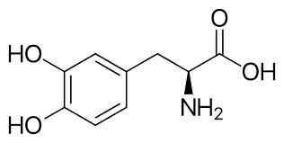 images?q=tbn:ANd9GcTUDbl244W55dyWzn-KbLJbVxUhaAT5UDf-WQ&s