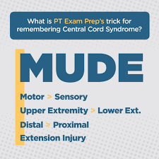 images?q=tbn:ANd9GcSCQHEyauHTdgBUhMEftC5GEbLCzrs-uUH-MQ&s