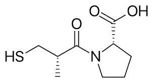 images?q=tbn:ANd9GcSDQ9J2OR1SEHGtGE4fDu5m1XIYN9BCbyb9Ww&s