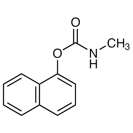 C3742.jpg?context=bWFzdGVyfHJvb3R8MzM0NTR8aW1hZ2UvanBlZ3xhRGc1TDJoaE9TODVNamd3TkRRNU16Z3dNemd5TDBNek56UXlMbXB3Wnd8MjVmMWVmNzhhMzFkNmRiZGVjNzc2MmNiZmNhZGM0NDY5OTBiNDQ2NzBmNTdiZDdmN2FkNjkyZmU4YzYxODNkMg