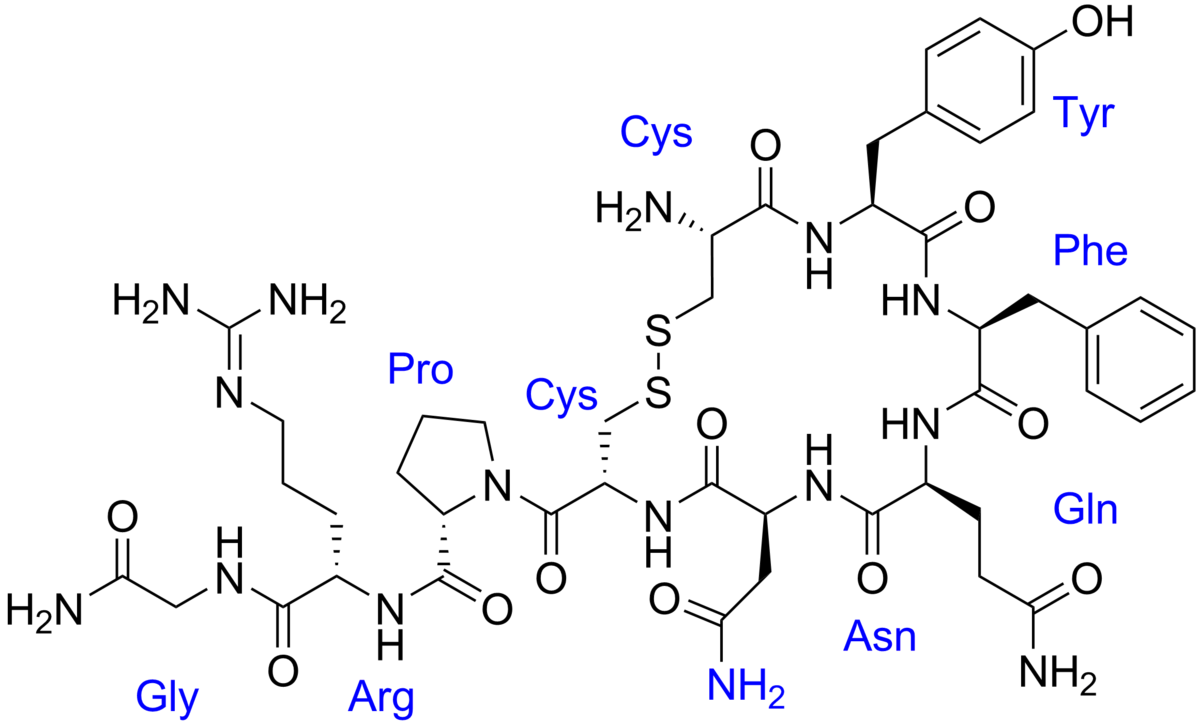 1200px-Vasopressin_labeled.png
