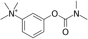 images?q=tbn:ANd9GcT-nFmJQM-3CGT4CMJiLcIC4T5rbIVmWYCyWQ&s