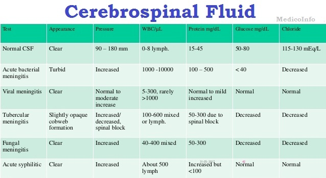 cerebrospinal-fluid-Medicoinfo.in_.jpg