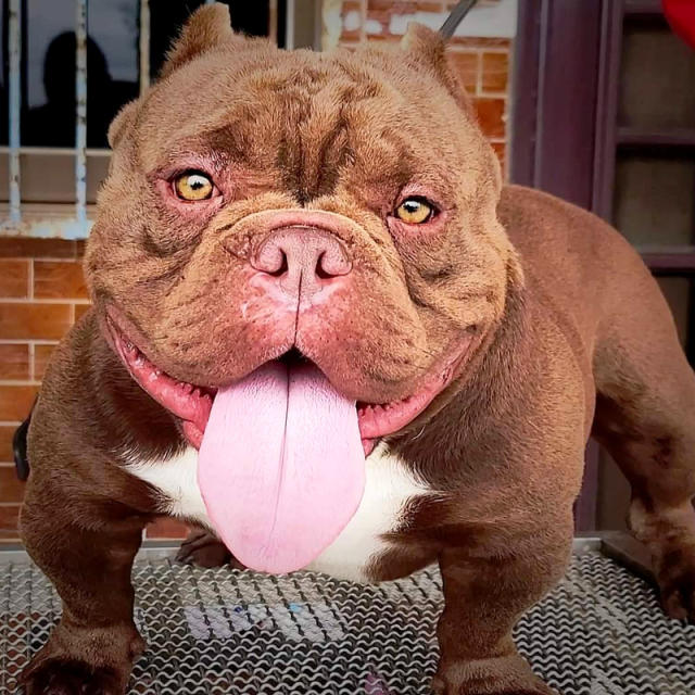 d0f01c40-fe11-11ee-bb7d-513a379ec818