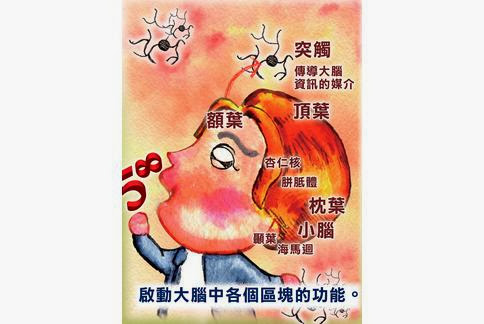 %2525E5%2525A4%2525A7%2525E8%252585%2525