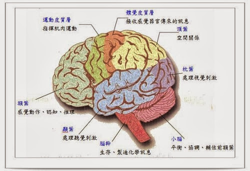 %2525E5%2525A4%2525A7%2525E8%252585%2525A6.jpg#s-500,342