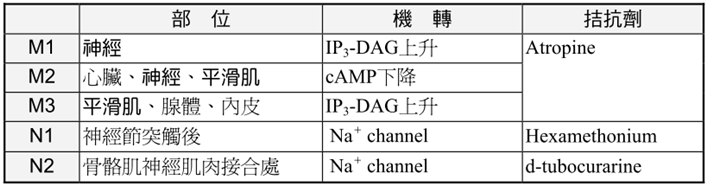 picasa.php?url=http%3A%2F%2Flh5.ggpht.co