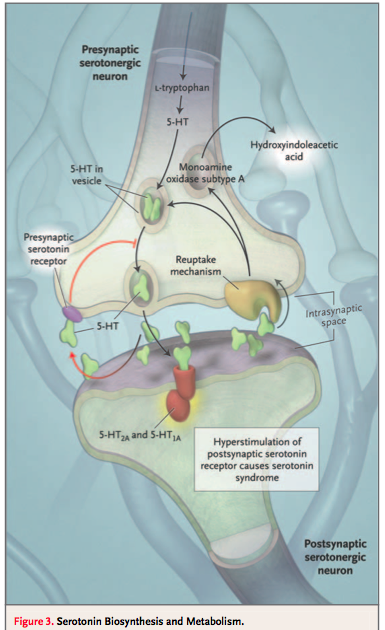 1311735958-d1863da5b903e9a4dd2ccdf7511e0
