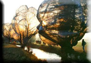 wt04ovr.jpg#s-300,207