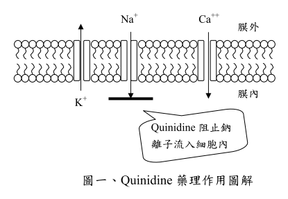Quinidine.png#s-415,287