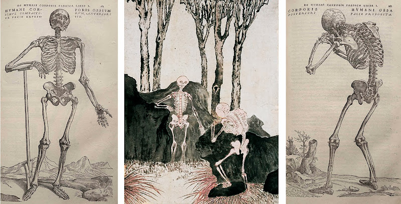 picasa.php?url=http%3A%2F%2Flh4.ggpht.co