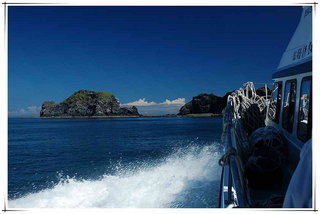 320px-%E5%B0%8F%E8%B2%93%E5%B6%BC%E7%9A%