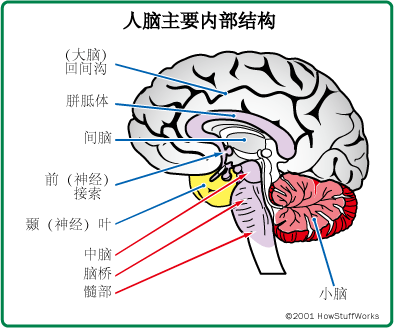 picasa.php?url=http%3A%2F%2Flh5.ggpht.co