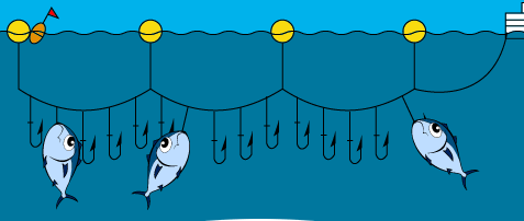 %252522longline02.gif%252522.png#s-477,202