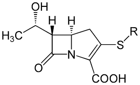 images?q=tbn:ANd9GcTmn_zq4XQu1AH9BGFJnm8