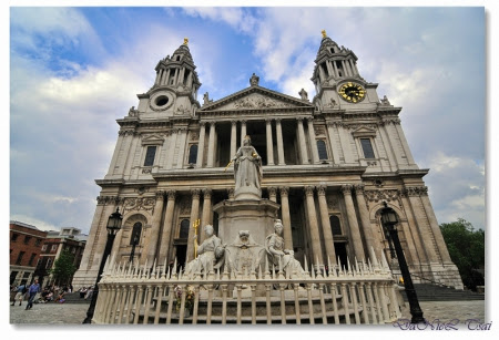 %252522cgmc50d2f77961bd0d1bee10ce9195f41