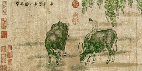 %252522bigPT00023.jpg%252522.jpg#s-500,250