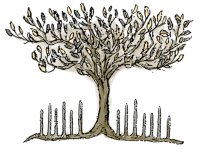 %252522%2525C3%2525A6%2525C2%2525B5%2525