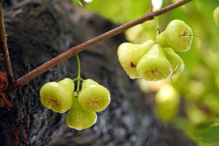 %252522%2525C3%2525A7%2525C2%252599%2525