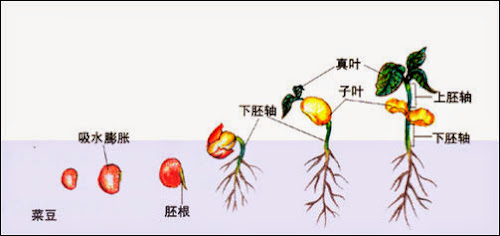 %252522miao1.jpg%252522.jpg