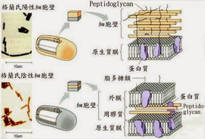 %252522class_clip_image003.jpg%252522.jp