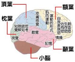 images?q=tbn:ANd9GcQqcGoO6Lr_WWzXOgejdzN