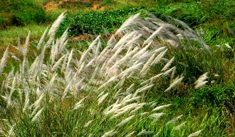 %252522%2525C3%2525A8%2525C2%252598%2525