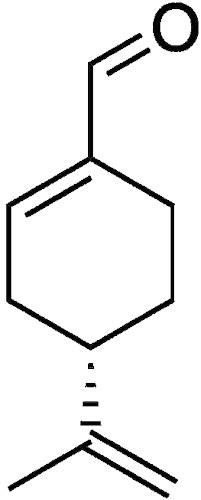 %252522%2525C3%2525A7%2525C2%2525B4%2525