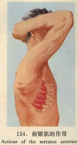 %2525222009823203042734.jpg.jpg%252522.j