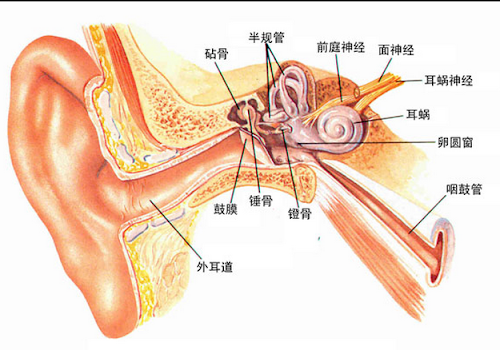 %252522%2525C3%2525A6%2525C2%252593%2525
