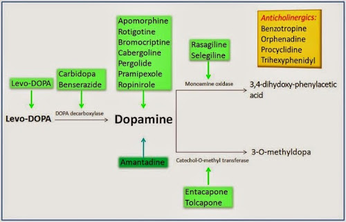 %252522discovery_medicine_no_79_ming_min