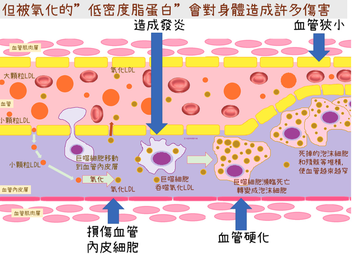 wf7kjaxv6MMowAAAABJRU5ErkJggg==