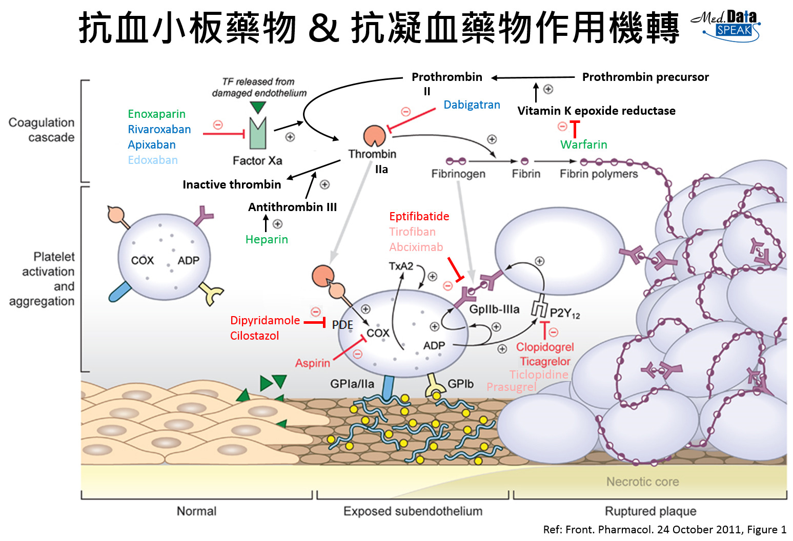 wEsb4Uwh0gEZwAAAABJRU5ErkJggg==