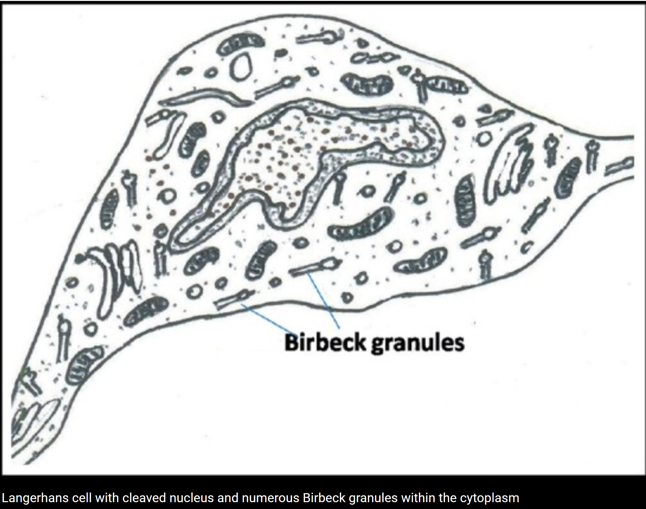 TOiI2rdWQa3YWVizIx1Z53PET4ScHPx+cDNWjOyGBhFRePj9E+IHRERERERERETsWyAiujpl4exvF0ValZOFo5tm418PlEWTD8V7RERERFcJLp1ARERERERERERERERERERElnFGAyIiIiIiIiIiIiIiIiIiIrKMAw2IiIiIiIiIiIiIiIiIiIjIMg40ICIiIiIiIiIiIiIiIiIiIss40ICIiIiIiIiIiIiIiIiIiIgs40ADIiIiIiIiIiIiIiIiIiIisowDDYiIiIiIiIiIiIiIiIiIiMgyDjQgIiIiIiIiIiIiIiIiIiIiyzjQgIiIiIiIiIiIiIiIiIiIiCzjQAMiIiIiIiIiIiIiIiIiIiKyjAMNiIiIiIiIiIiIiIiIiIiIyDIONCAiIiIiIiIiIiIiIiIiIiLLONCAiIiIiIiIiIiIiIiIiIiILONAAyIiIiIiIiIiIiIiIiIiIrII+P+2CGbr9FGazgAAAABJRU5ErkJggg==