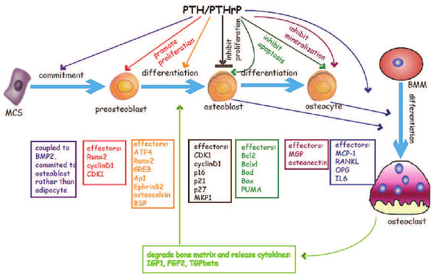 W55z4gQAAACV0RVh0ZGF0ZTpjcmVhdGUAMjAxNS0wOS0yNFQxODozMzoyOCswMDowMCutT5EAAAAldEVYdGRhdGU6bW9kaWZ5ADIwMTUtMDktMjRUMTg6MzM6MjgrMDA6MDBa8PctAAAAAElFTkSuQmCC