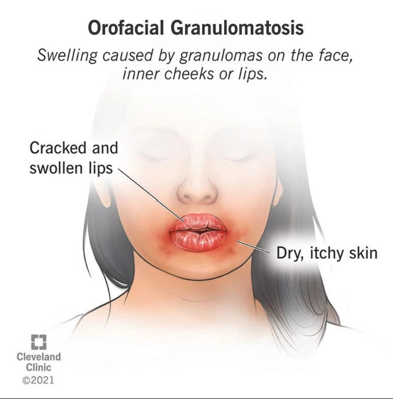 DuYIcarCcbAAAAAElFTkSuQmCC