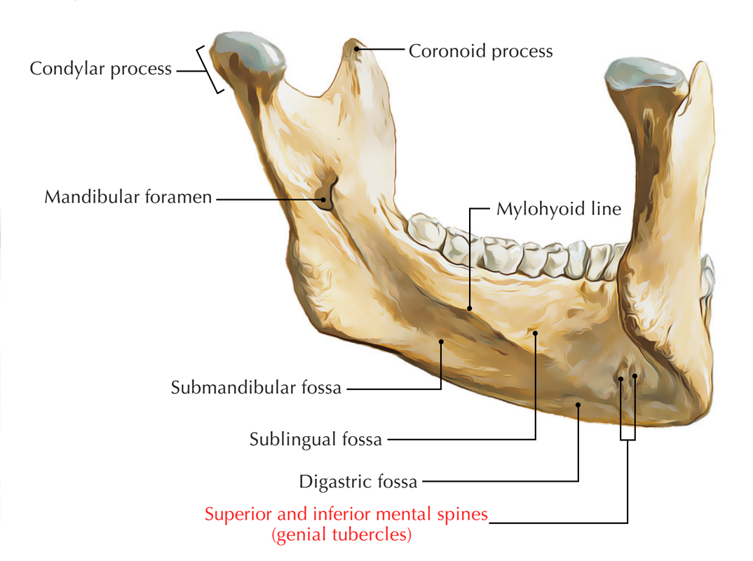 ans5995980-658c35ff16cea.jpg