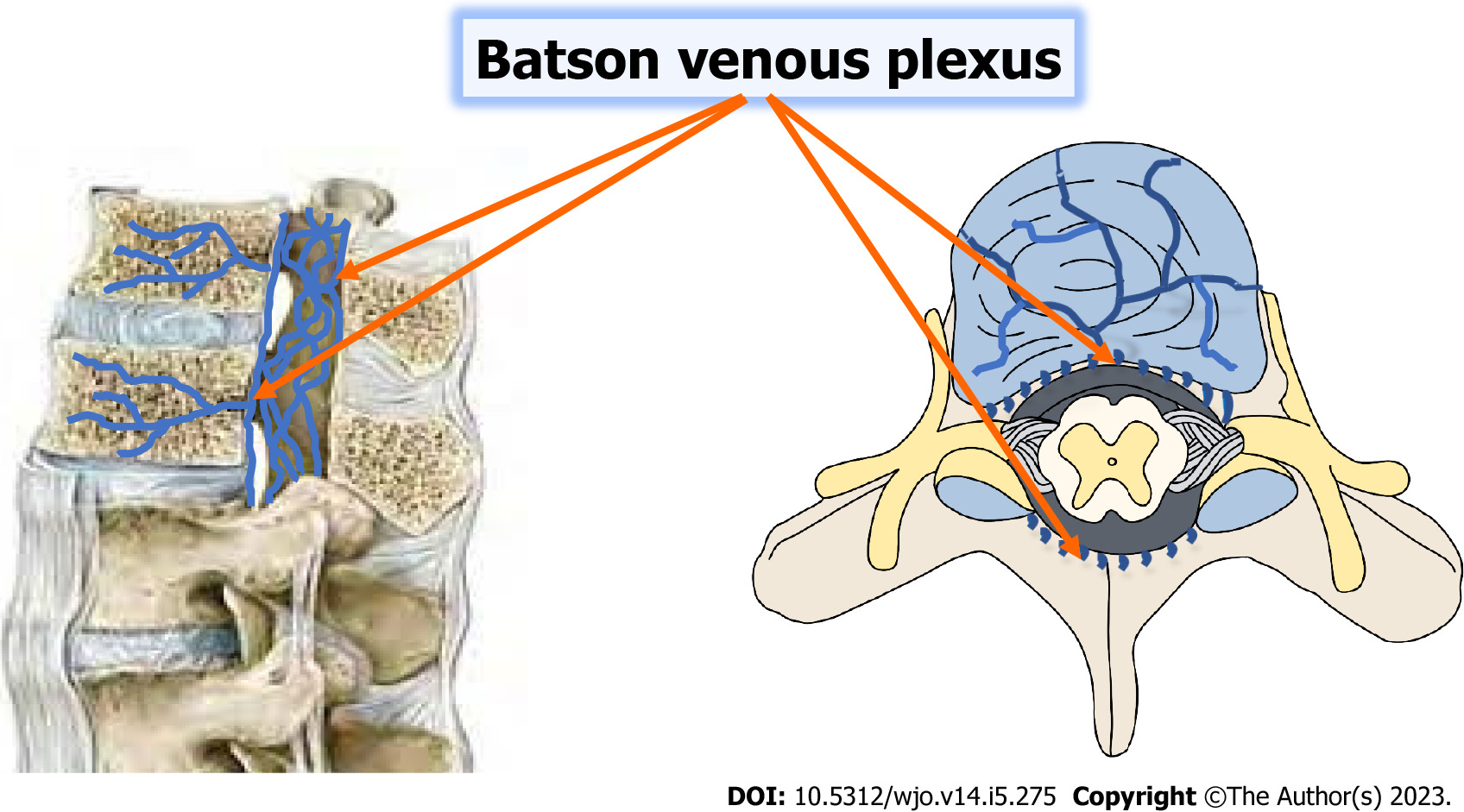 2u325ubm7u4u+TcRVwqdEbvZbHa73TLJlFNsbW1pcW6r1bo62VeeCCjJBkEQBEEQBEEQM+Nx5aAkiKcbnIKz2WxS9DqCIFKQgY8gCIIgCIIgCIIgCIIgnmD+f4uqENHNpFh3AAAAAElFTkSuQmCC