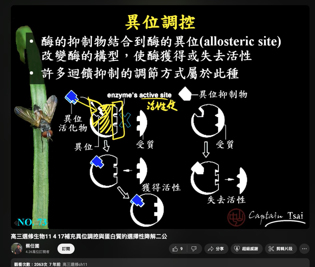 B7Ao0lny5B23AAAAAElFTkSuQmCC