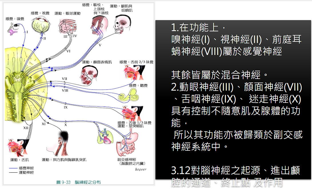 SyOgEdAIaAQ0AhoBjYBGQCOgEdAIaAQ0AhqBRxgBLYg8woOnm64R0AhoBDQCGgGNgEZAI6AR0AhoBDQCGgGNwJ0hoAWRO8NNf0sjoBHQCGgENAIaAY2ARkAjoBHQCGgENAIagUcYgf8HVpwF5FCwUEUAAAAASUVORK5CYII=