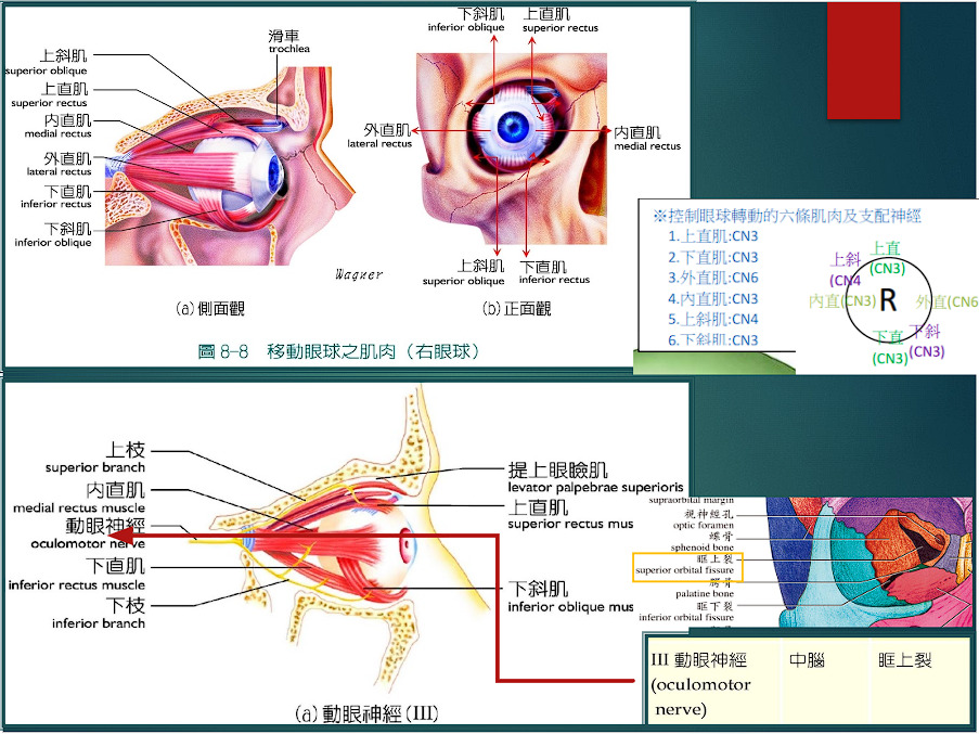 fSsbluGWzzQAAAAASUVORK5CYII=