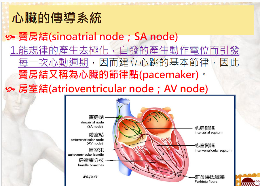 fz0RLTTNq563EYTdeiN2O3EvG8v8ASmQsNvZfHG4AAAAASUVORK5CYII=