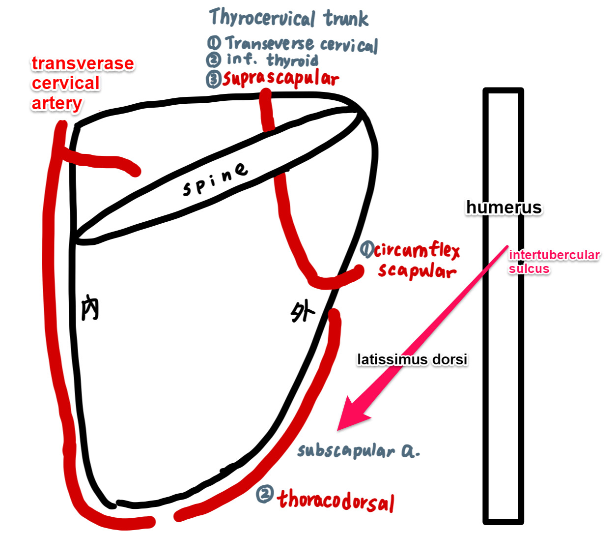 ans6014649-65afbb3f0afa7.jpg#s-1254,1086