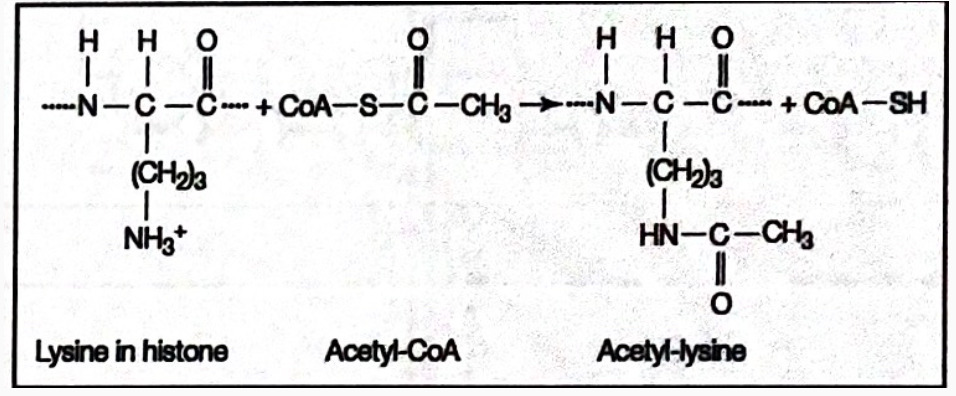 +fXt4eNh+fv78smuJLlPRftoIGAEjYASMgBEwAkbACBgBI2AEjMD3icBuhff7JNNUGQEjYASMgBEwAkbACBgBI2AEjIARuAwBB7yX4eWnjYARMAJGwAgYASNgBIyAETACRuBKEHDAeyUTZTKNgBEwAkbACBgBI2AEjIARMAJG4DIEHPBehpefNgJGwAgYASNgBIyAETACRsAIGIErQcAB75VMlMk0AkbACBgBI2AEjIARMAJGwAgYgcsQcMB7GV5+2ggYASNgBIyAETACRsAIGAEjYASuBAEHvFcyUSbTCBgBI2AEjIARMAJGwAgYASNgBC5D4D9ARfIp8FEtGQAAAABJRU5ErkJggg==