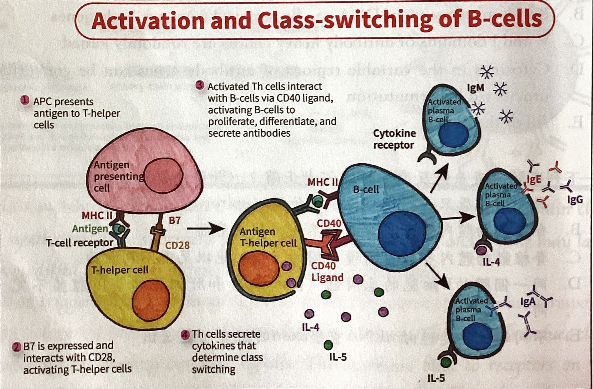 8BdTRz3NH9v3YAAAAASUVORK5CYII=