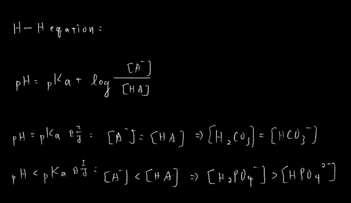 wF0WwrXlRnMfgAAAABJRU5ErkJggg==